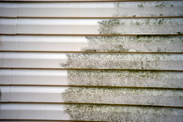 Best Historical Building Siding Restoration  in Ixonia, WI