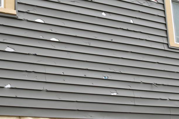 Best Brick Veneer Siding  in Ixonia, WI