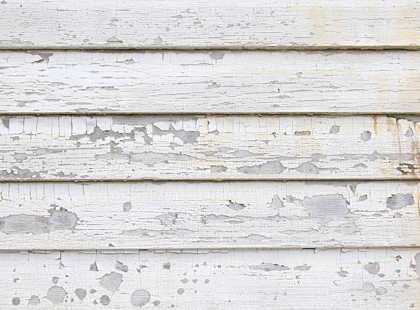 Best Siding for New Construction  in Ixonia, WI